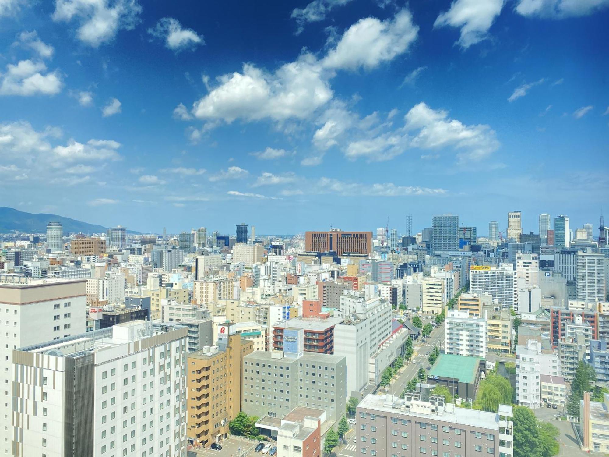 酒店 Mystays Premier Park